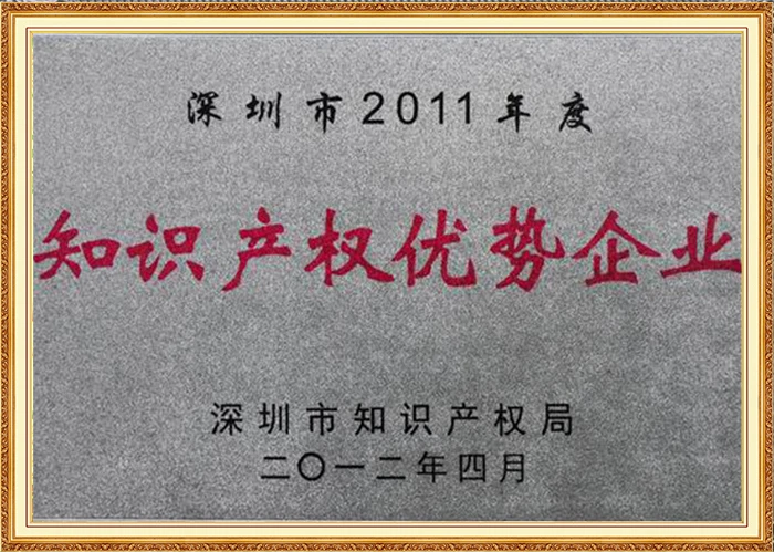 Intellectual property rights leading enterprises